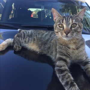 Meet your Posher, Ramzi